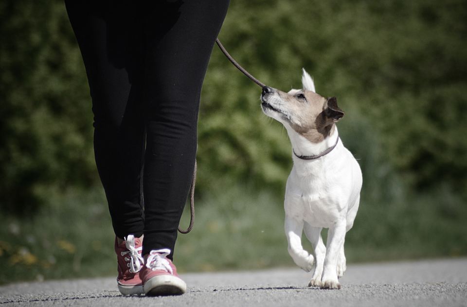Training an der Straße